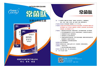彩页设计印刷