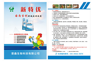 彩页设计印刷
